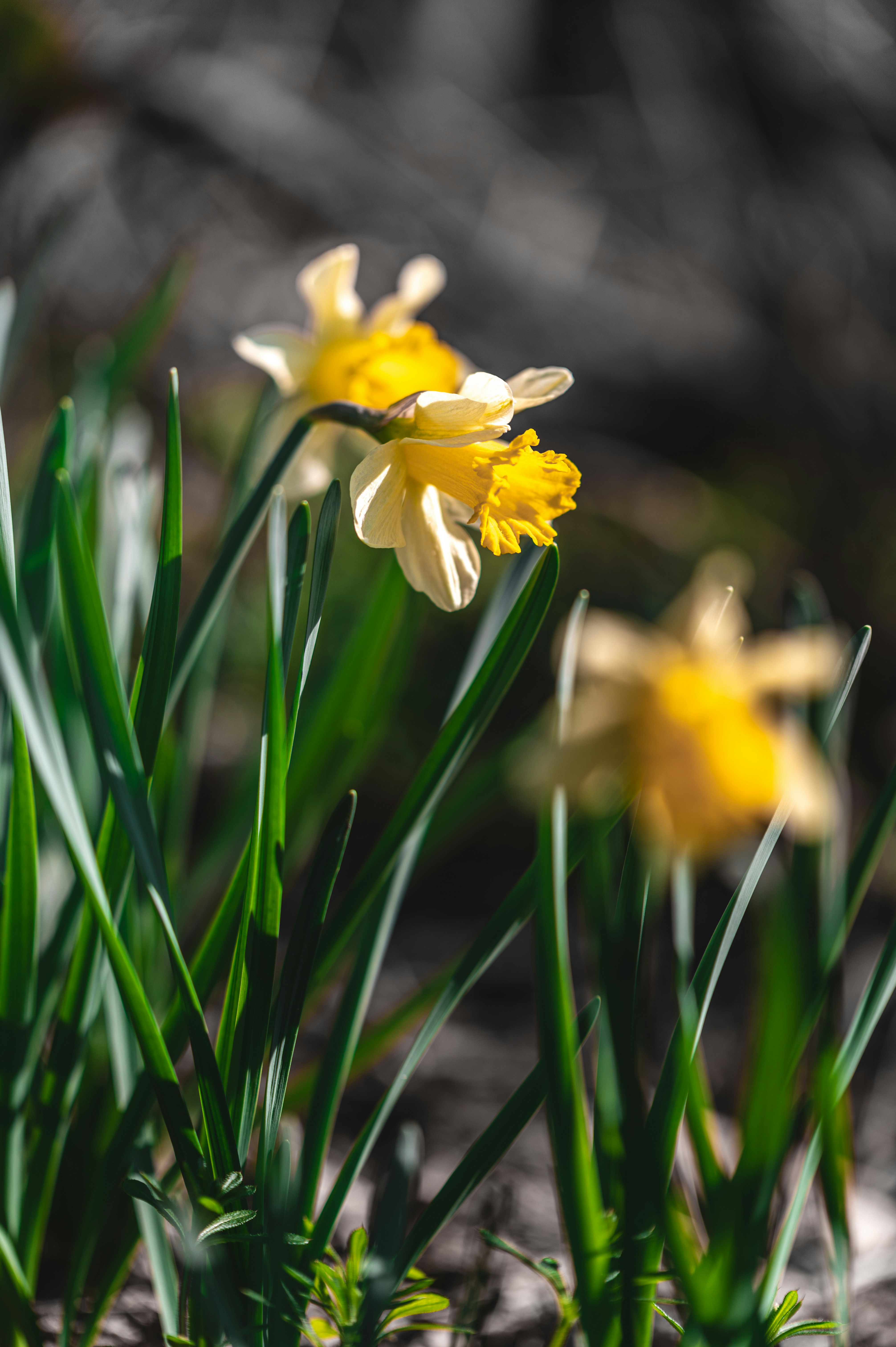 Photo by andreasbrun