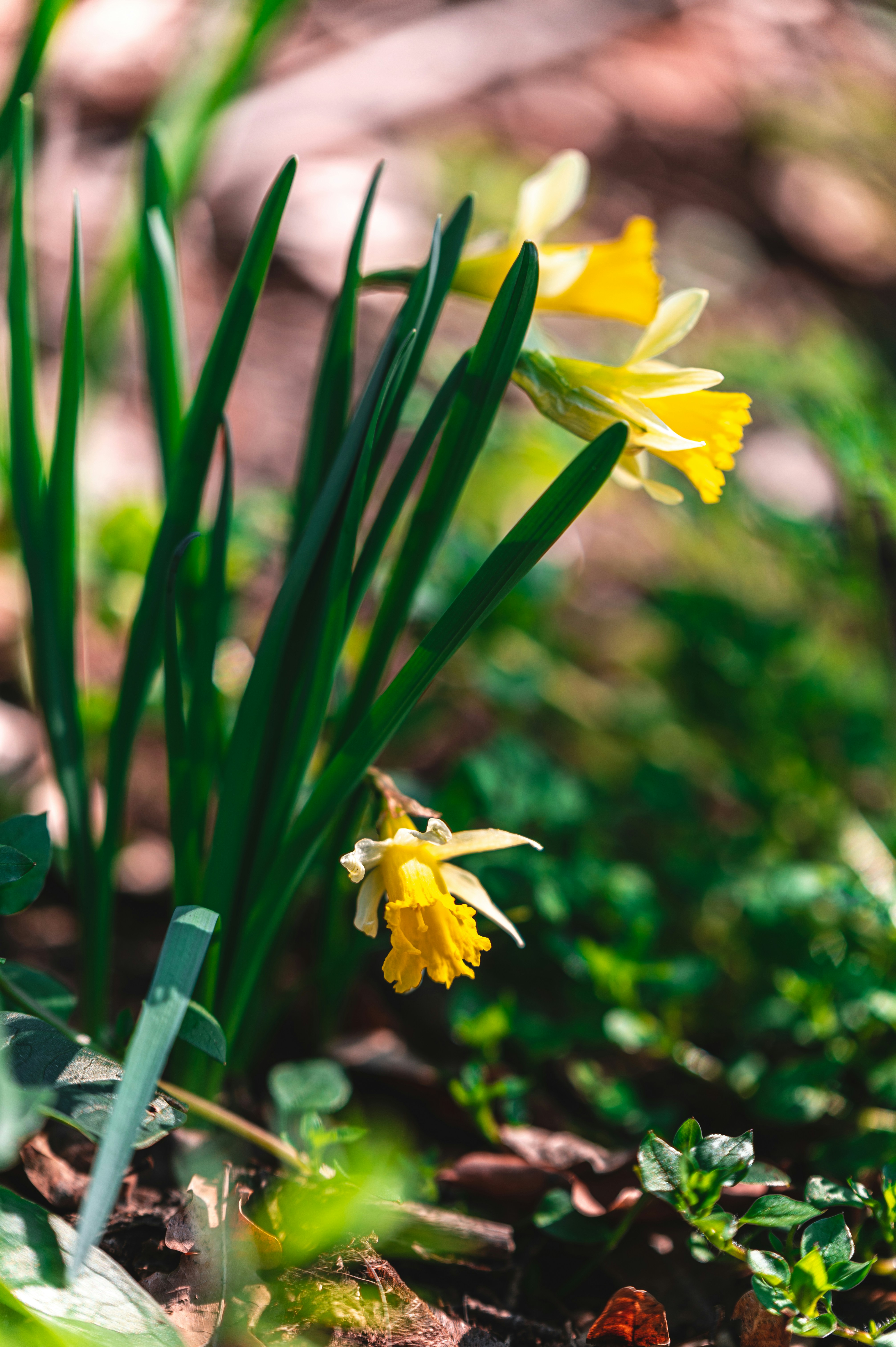 Photo by andreasbrun