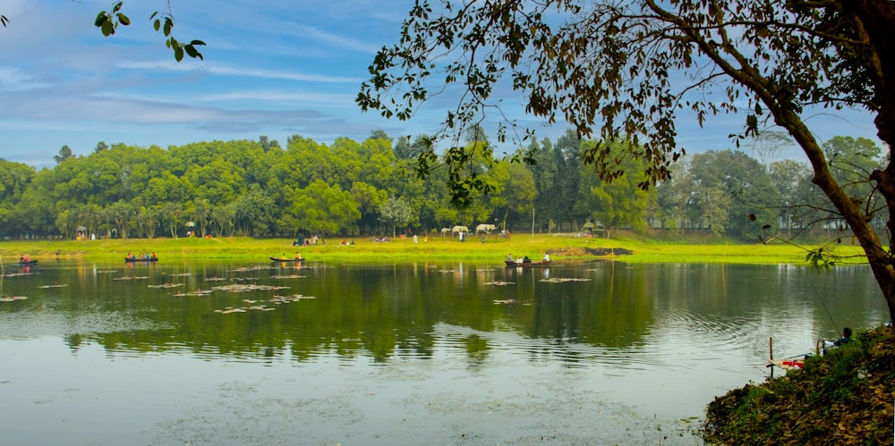 green trees beside river under blue sky during daytime