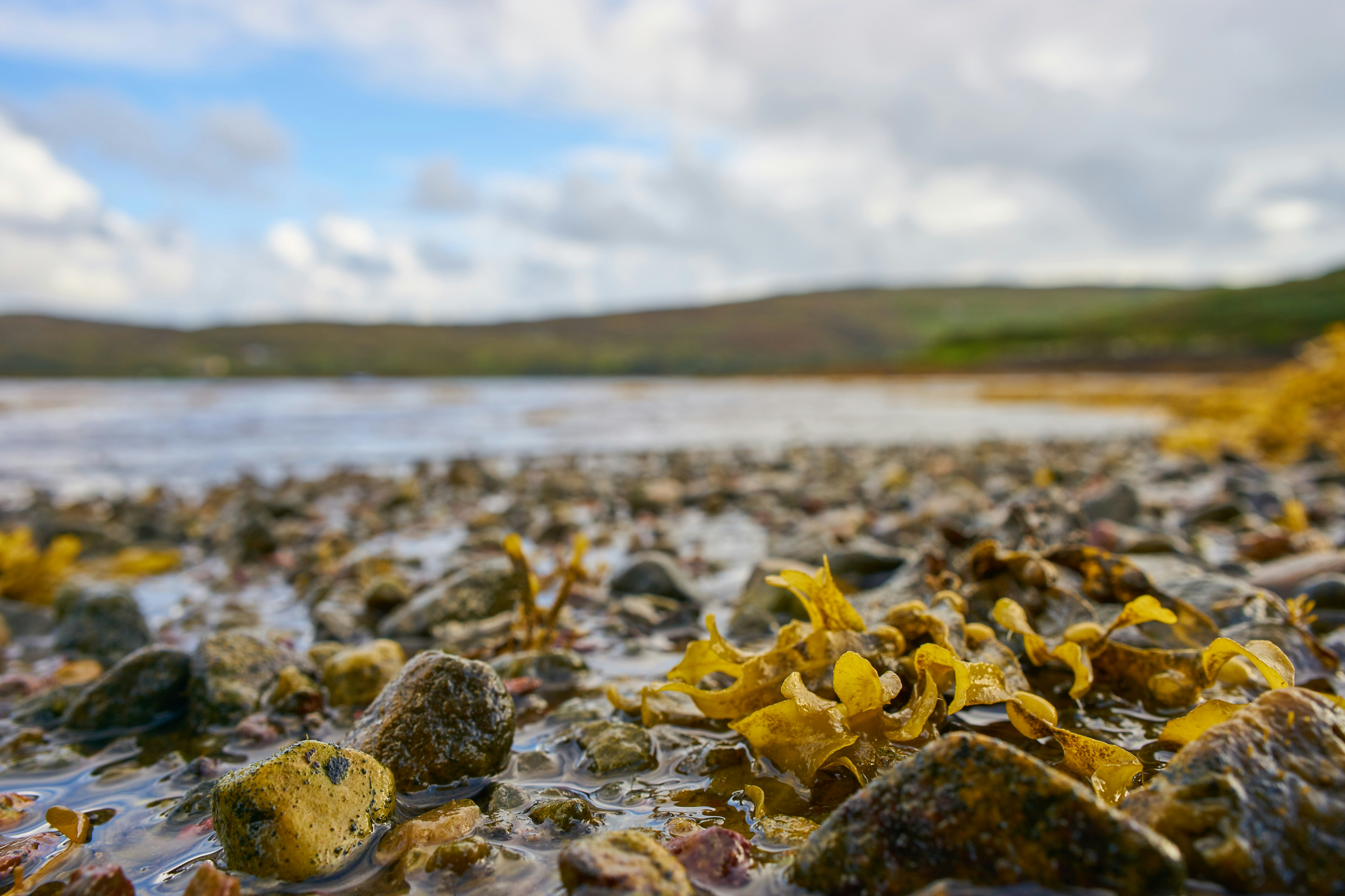 Photo by wolfgang_hasselmann