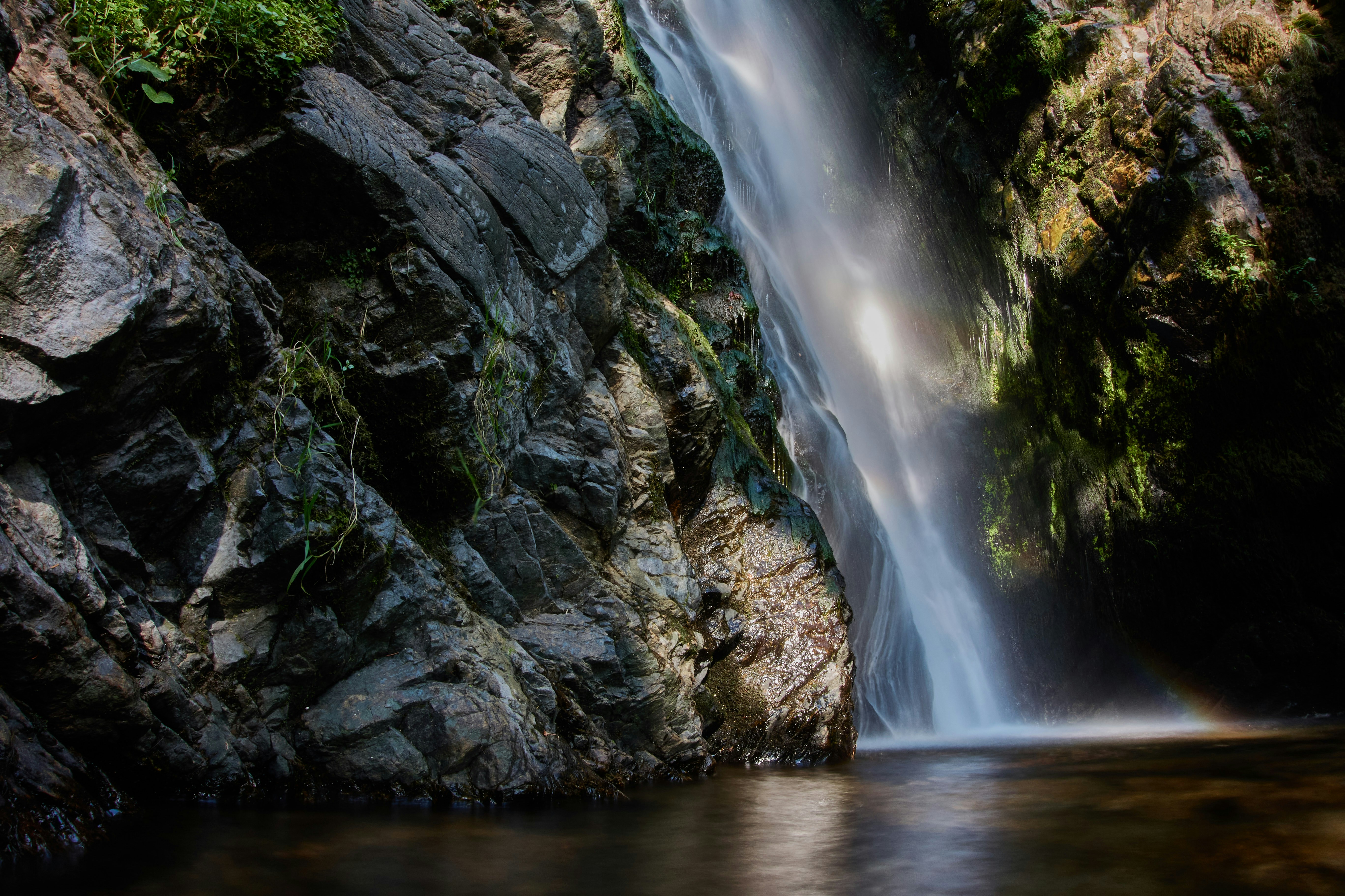 Photo by wolfgang_hasselmann