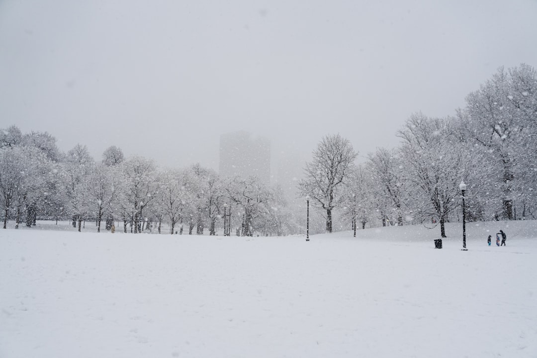 person in black jacket walking on snow covered ground