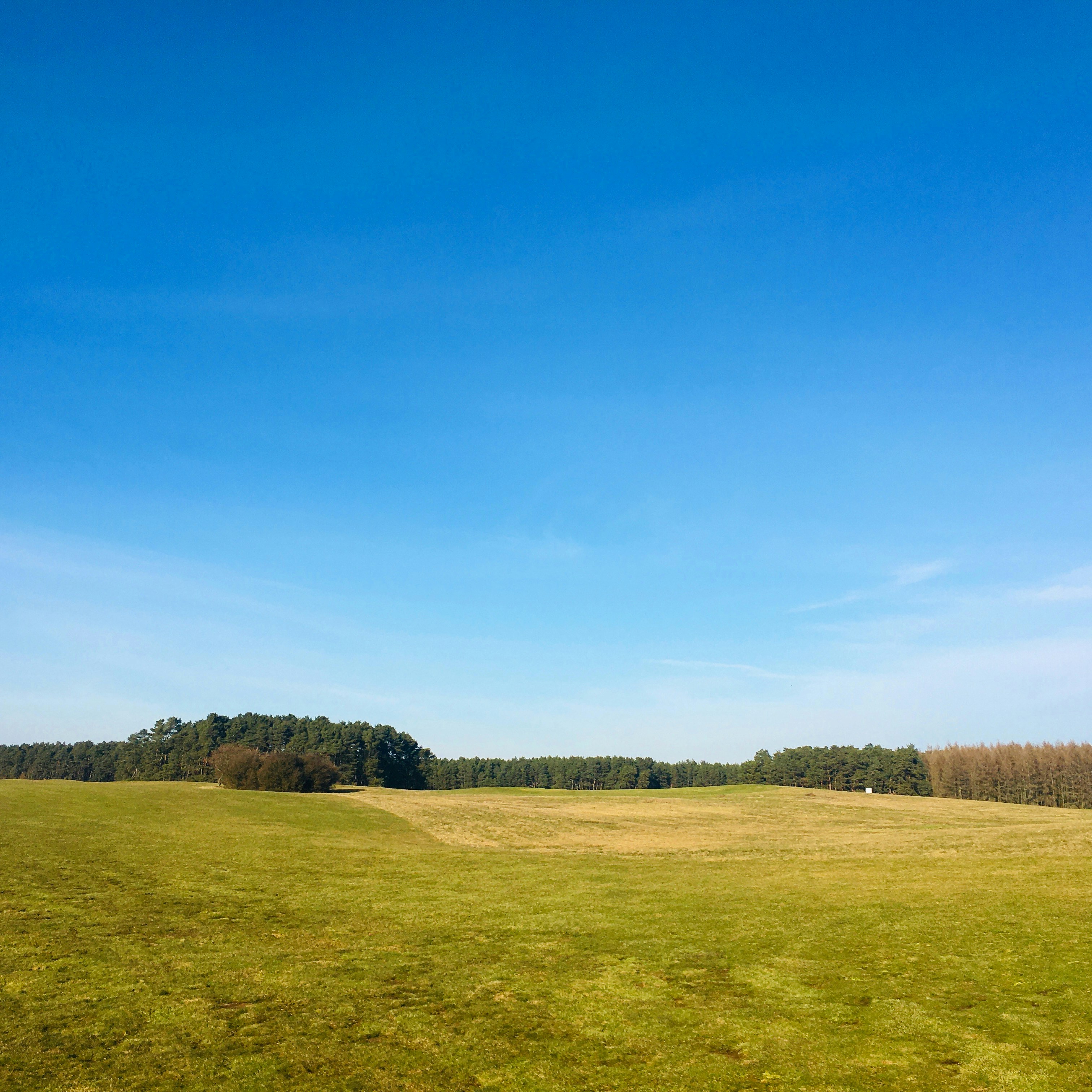 Photo by jonasfromberlin