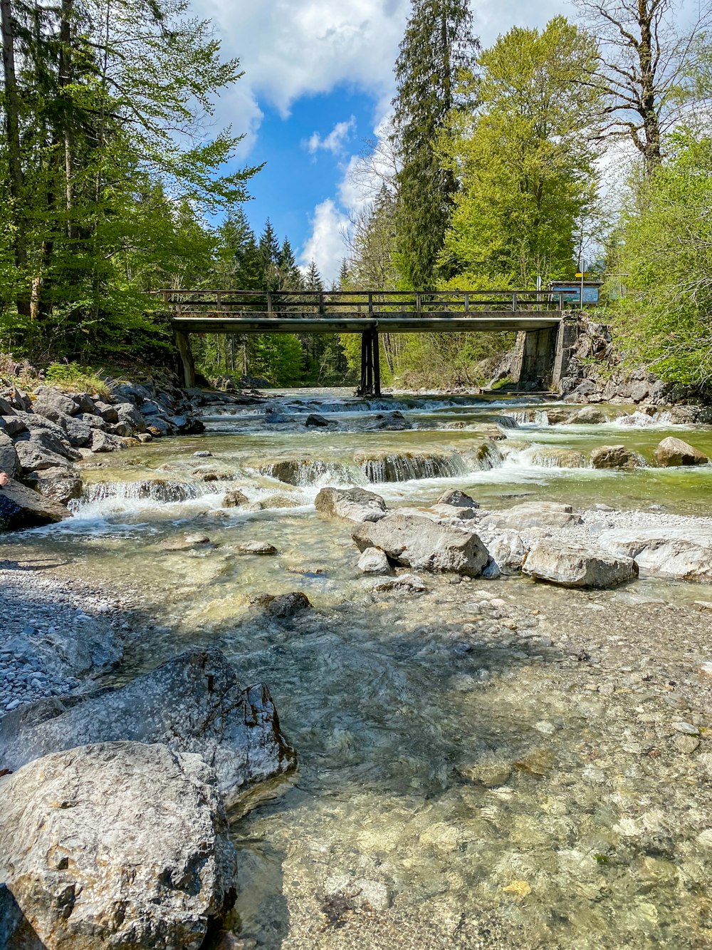 river near green trees during daytime