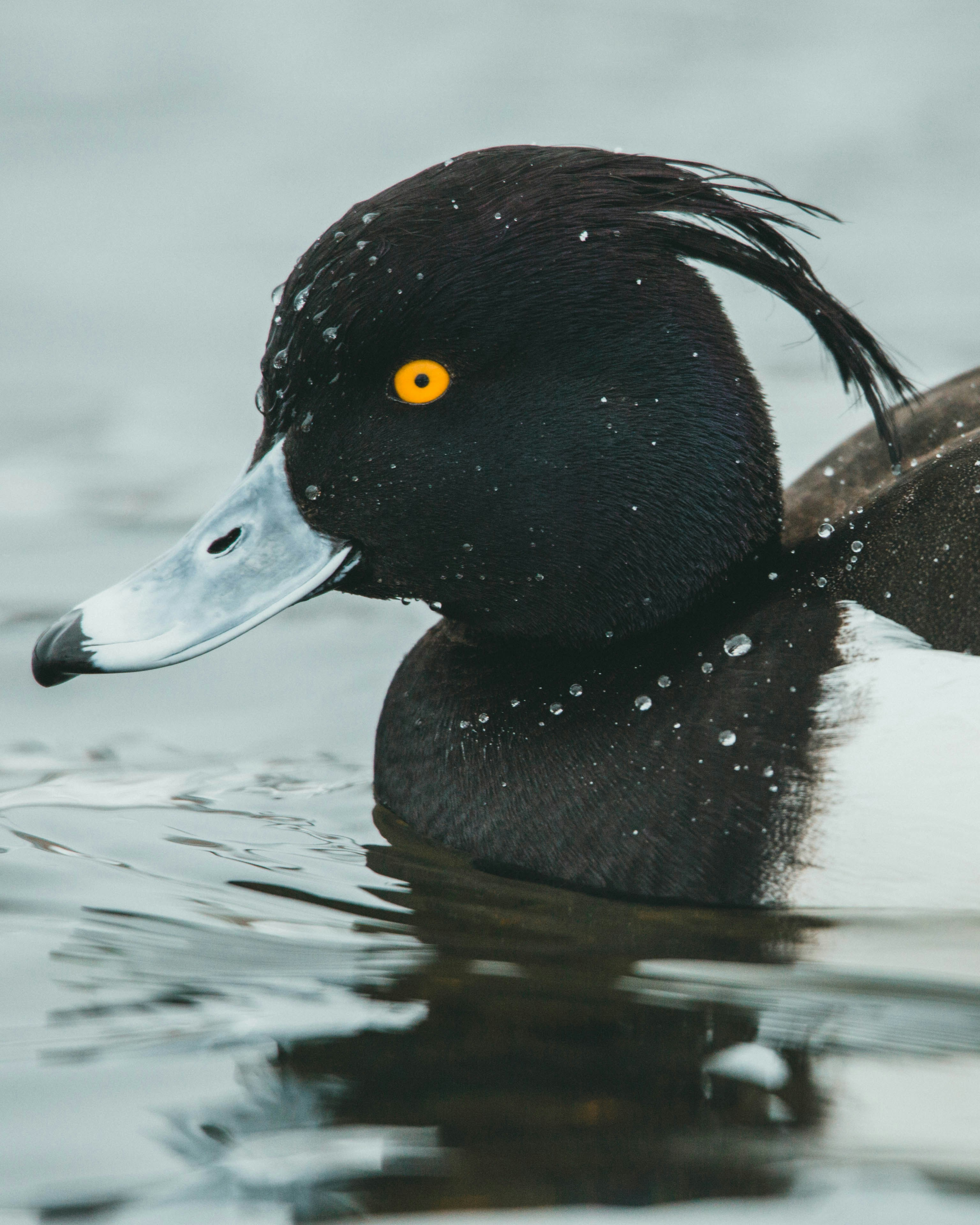 Photo by theshuttervision