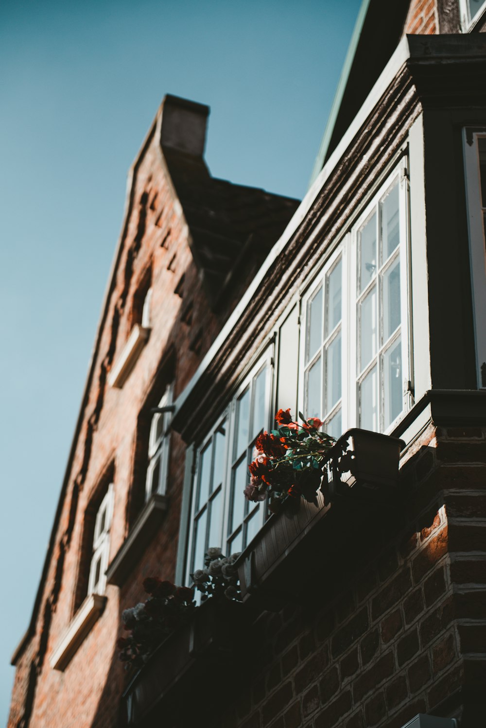 red flowers on brown wooden window