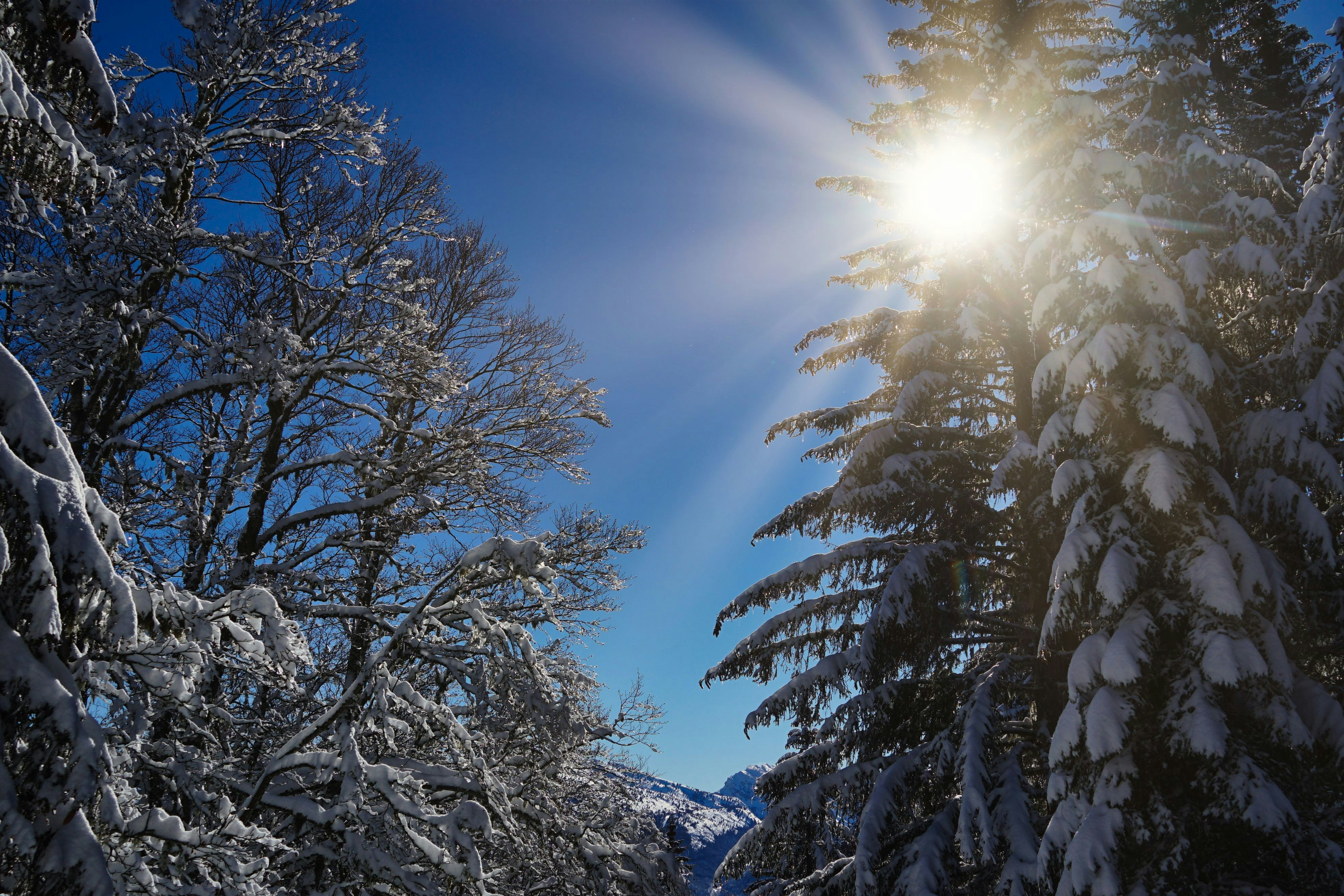 Photo by alpinstephane