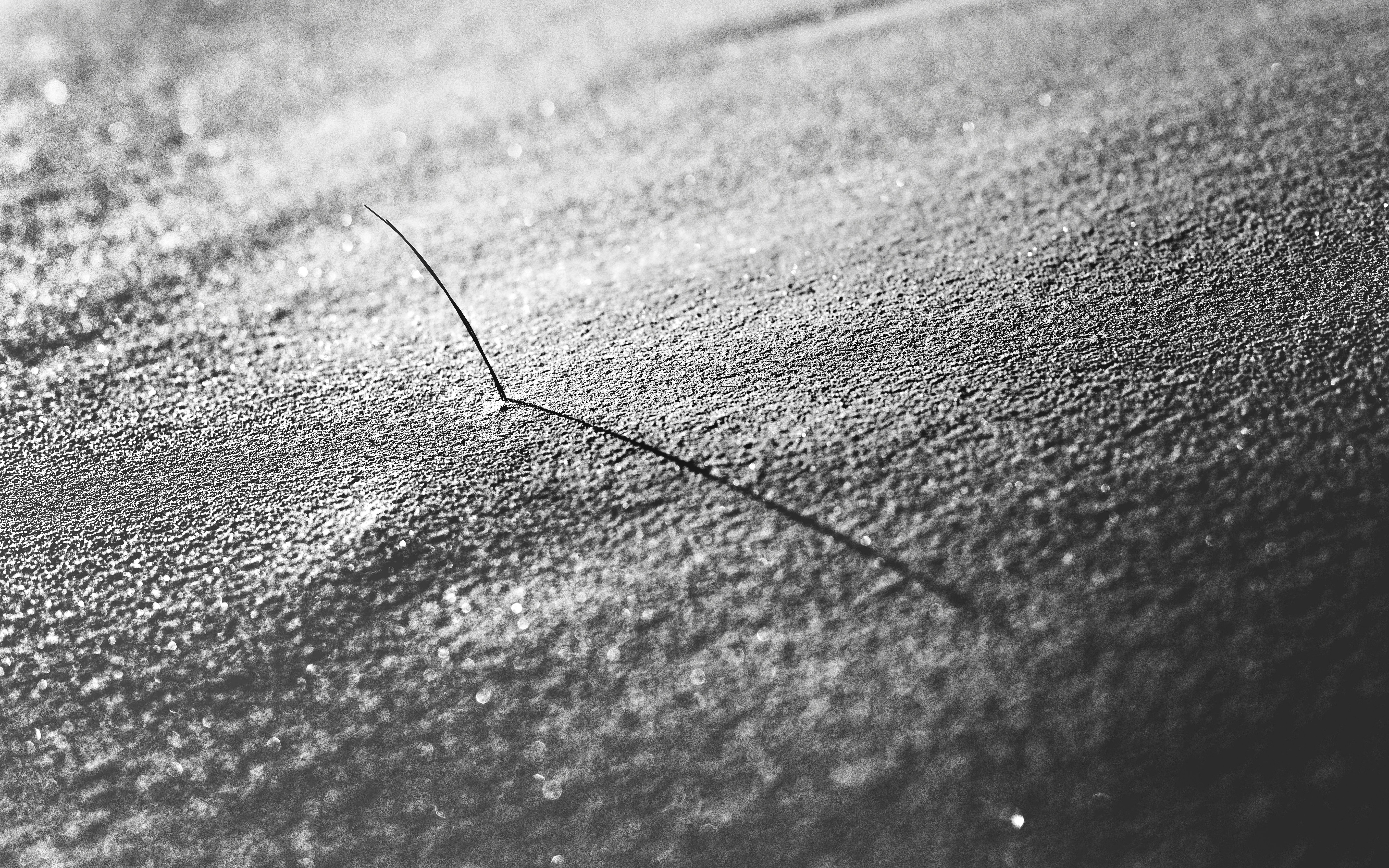 Photo by marekpiwnicki