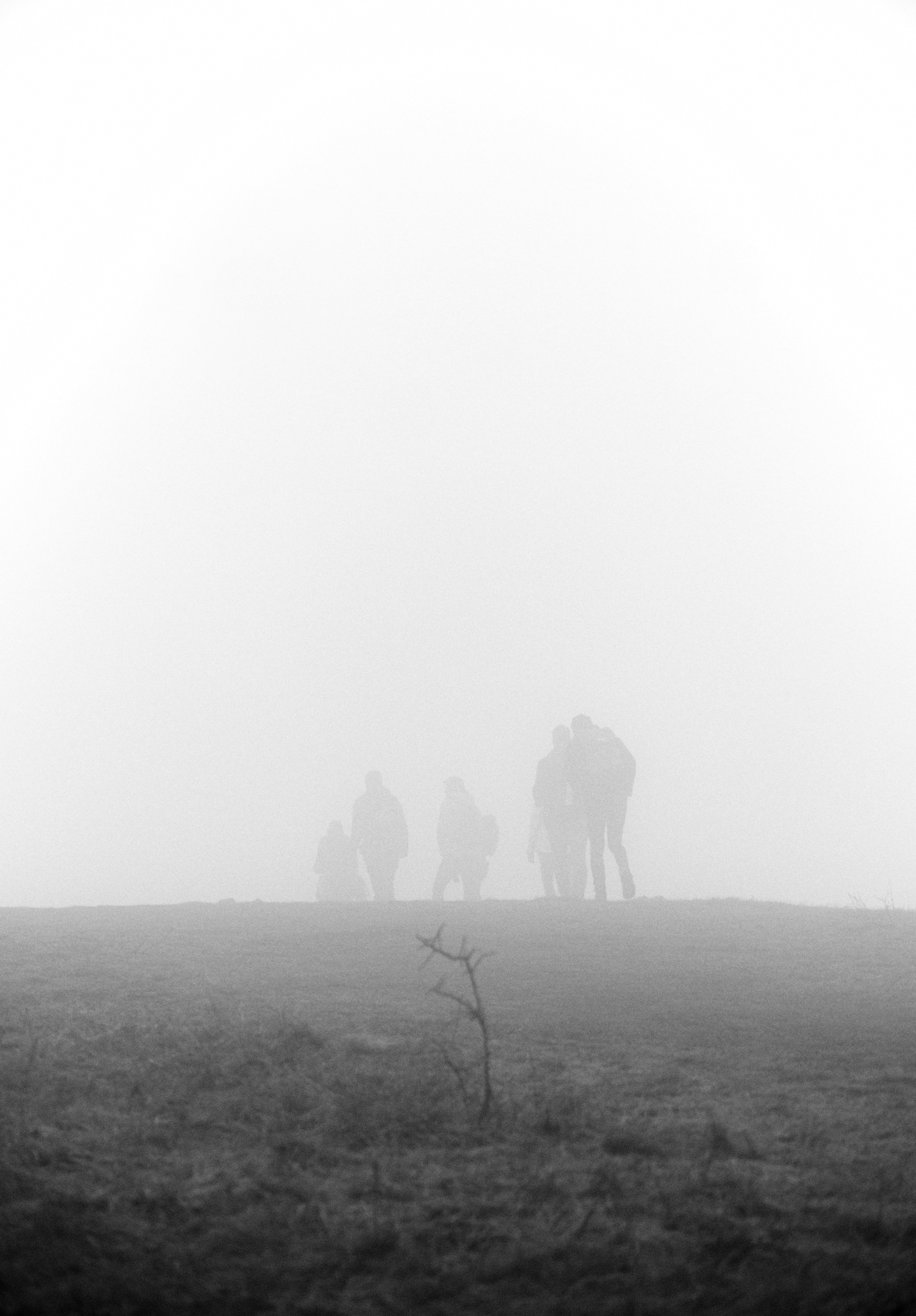 Photo by adamhornyak