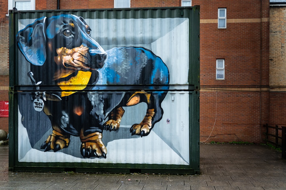 uomo in giacca gialla e pantaloni neri graffiti