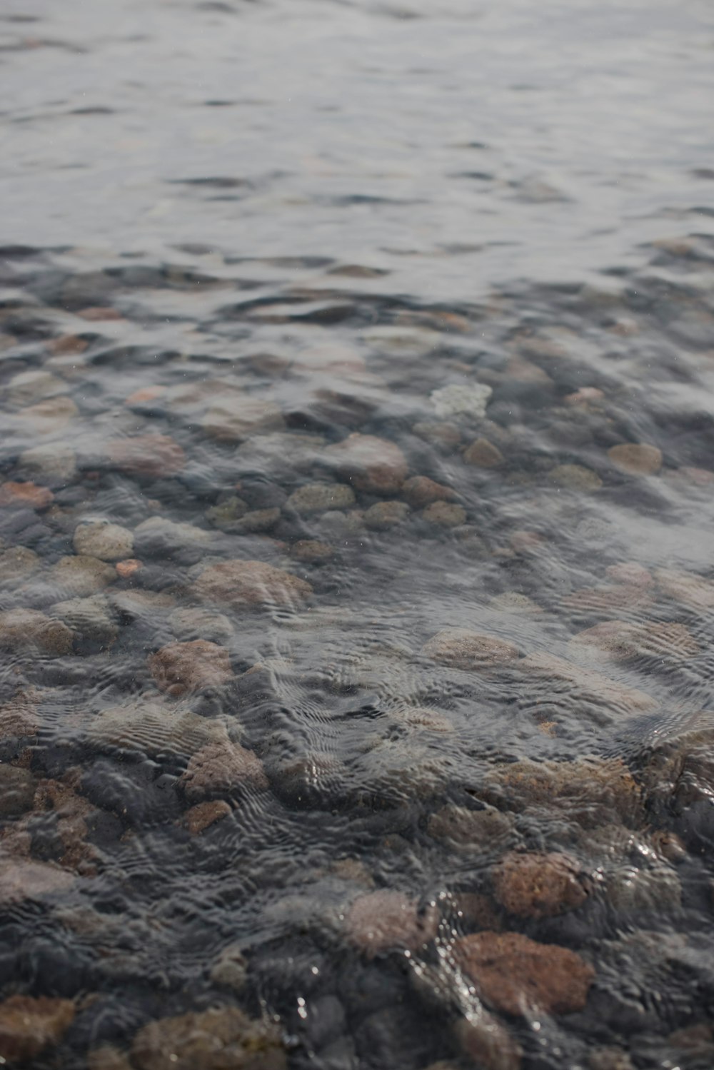 brown and gray stones on water