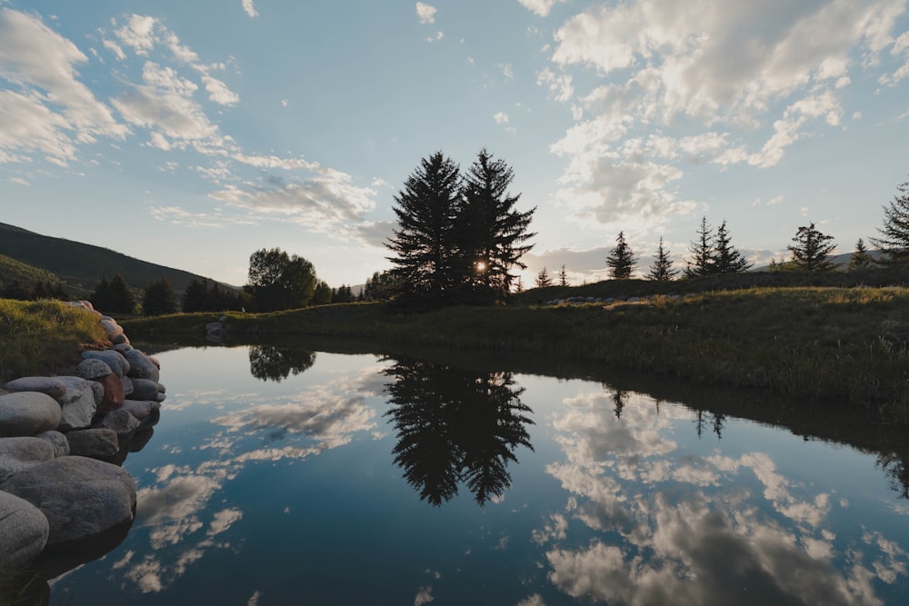 green trees beside lake under blue sky during daytime