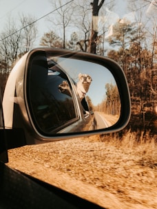 reflection of man in car side mirror