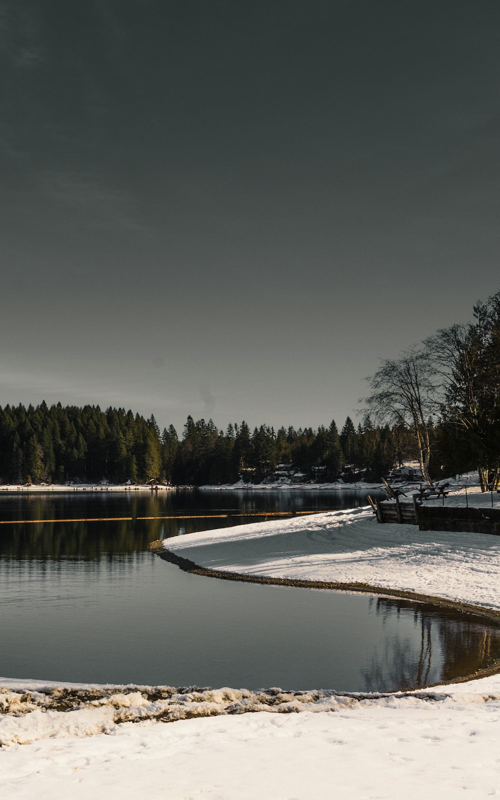 brown wooden dock on lake during daytime