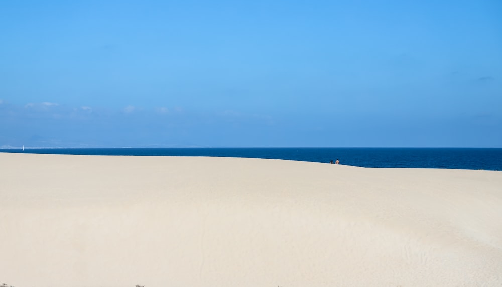 white sand beach during daytime