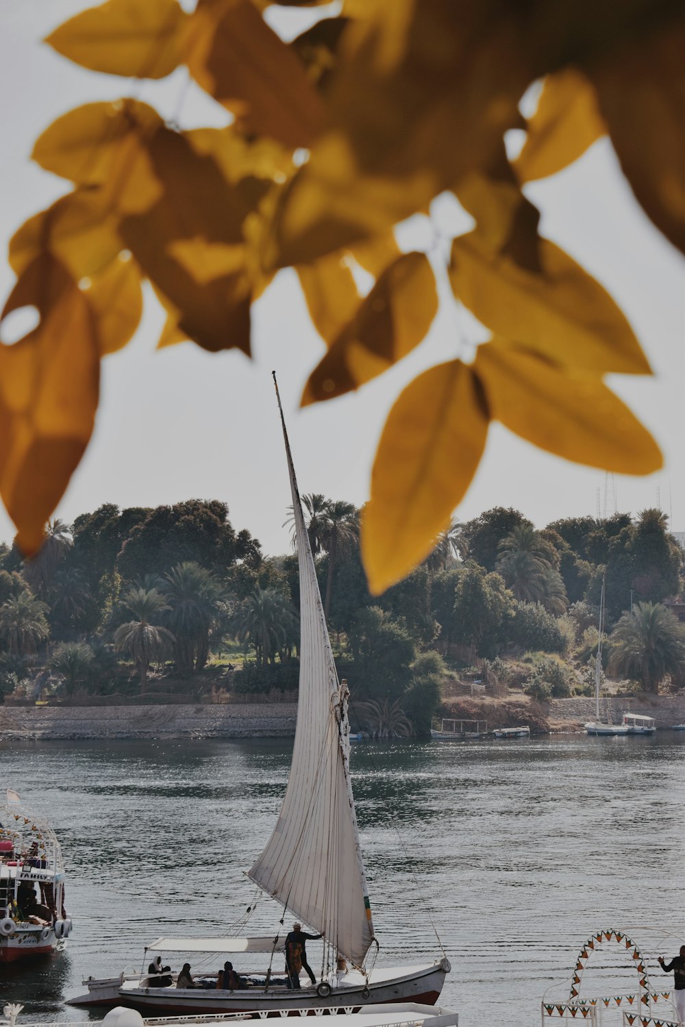 white sail boat on body of water during daytime