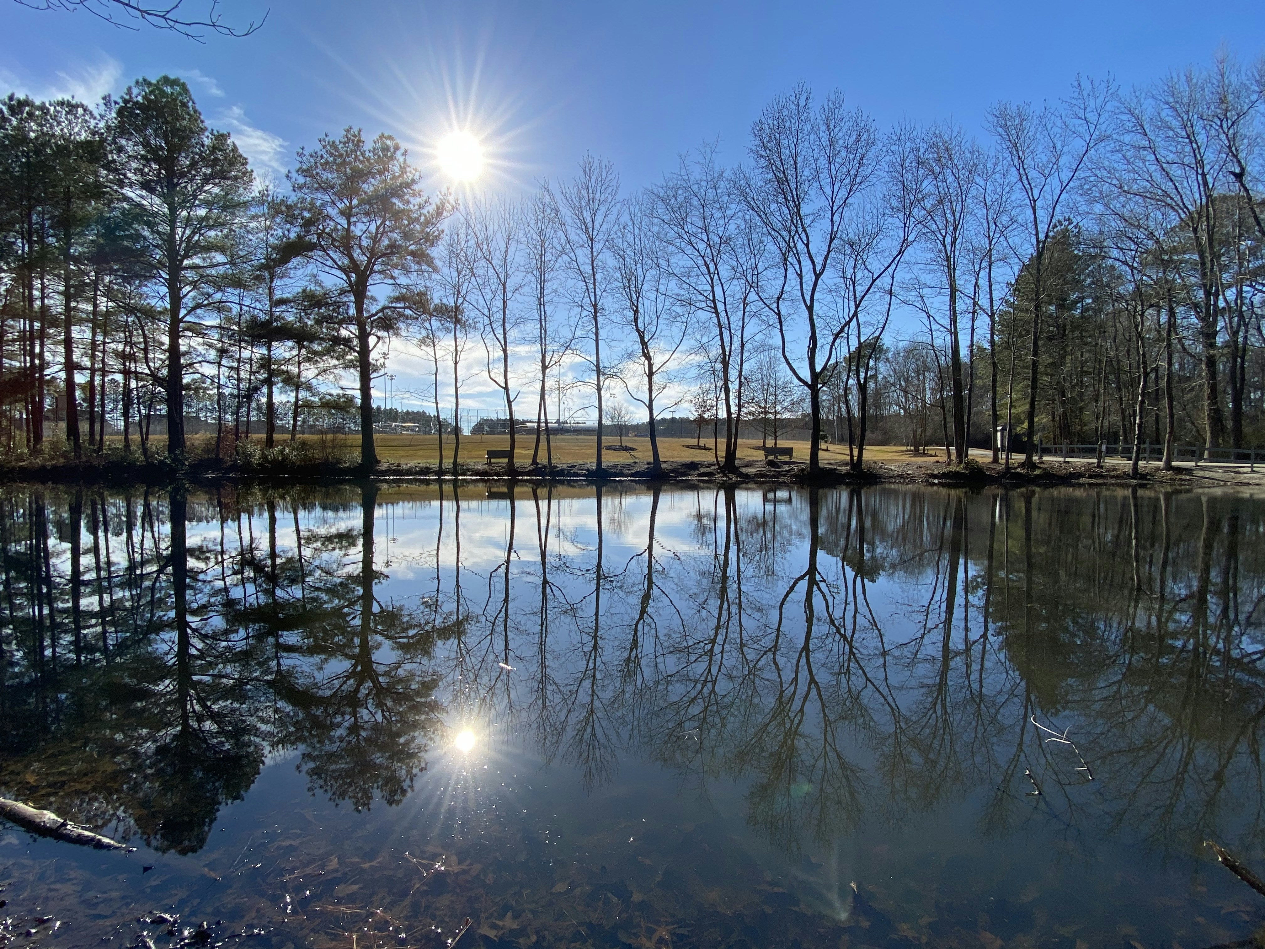 Photo by corgilufur001