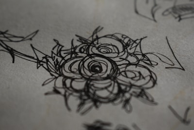 An elegant sketch of a blooming flower, showcasing delicate details.