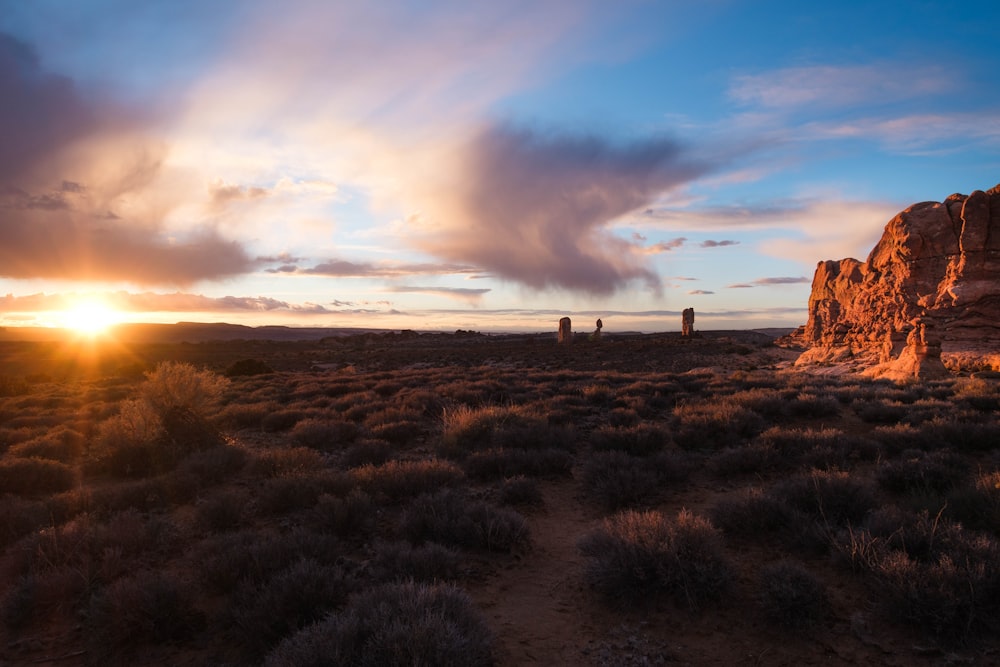 brown grass field moab utah