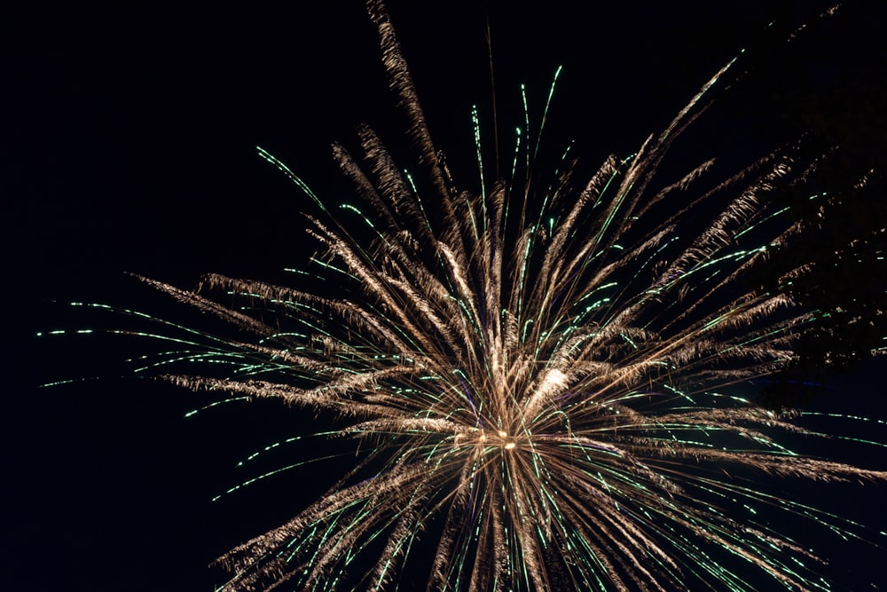 fogos de artifício brancos e marrons durante a noite