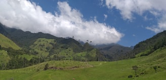 A picturesque landscape showcasing tropical rainforests.