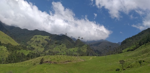 A picturesque landscape showcasing tropical rainforests.