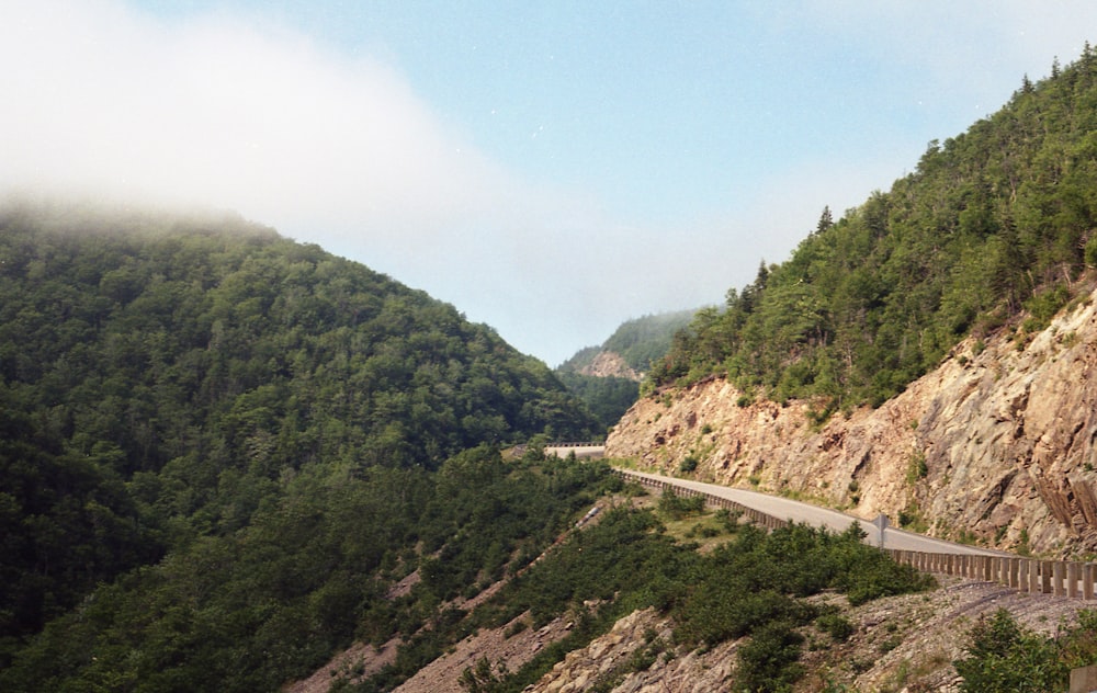 green trees on mountain during daytime