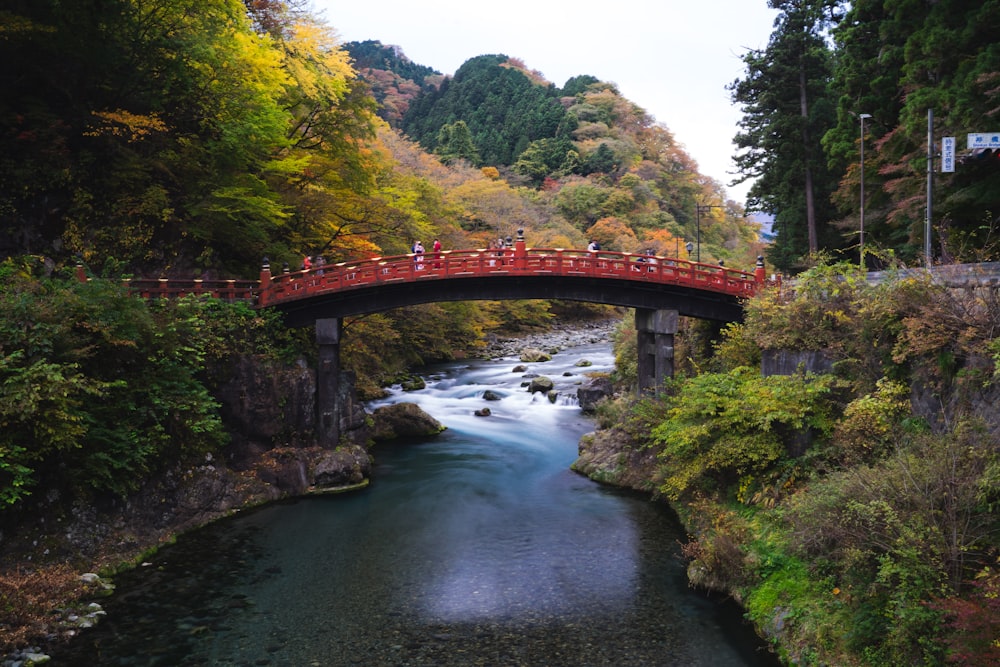 red bridge over river between green trees during daytime