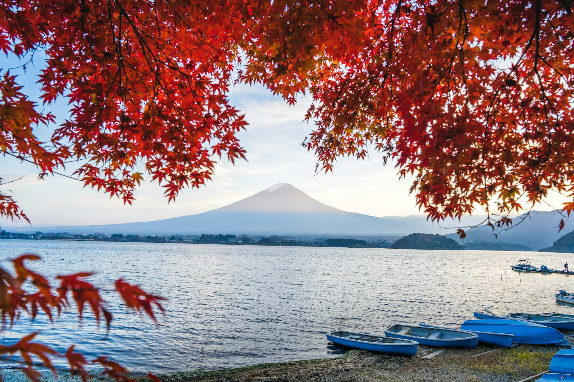 Beautiful view of Mount Fuji under autumn leaves. Lake Kawaguchi, Yamanashi, Japan