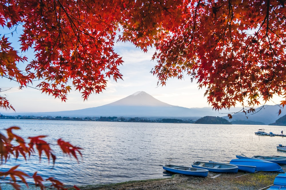 blue and white boat on body of water near mountain during daytime