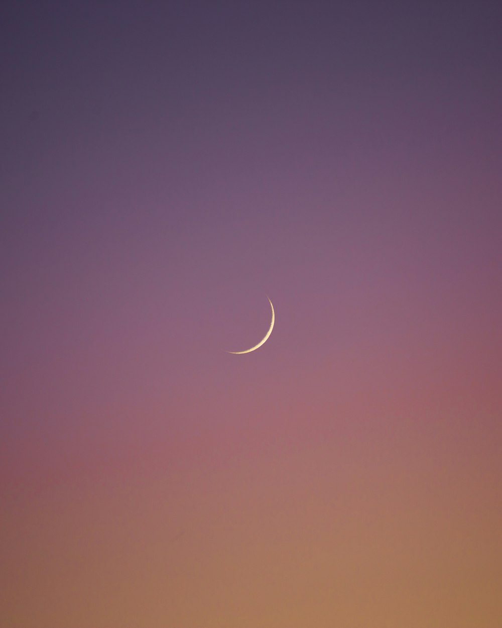 crescent moon in the sky