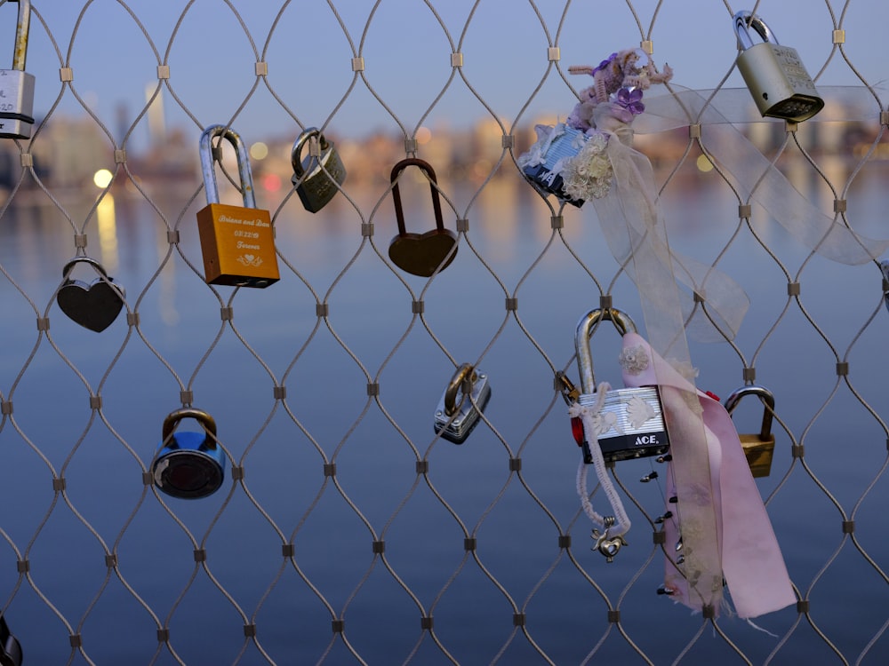 padlock on chain link fence