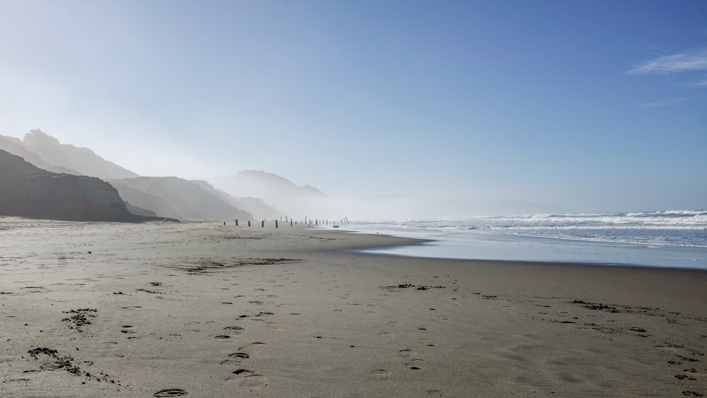 people on beach during daytime