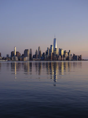 city skyline across body of water during daytime