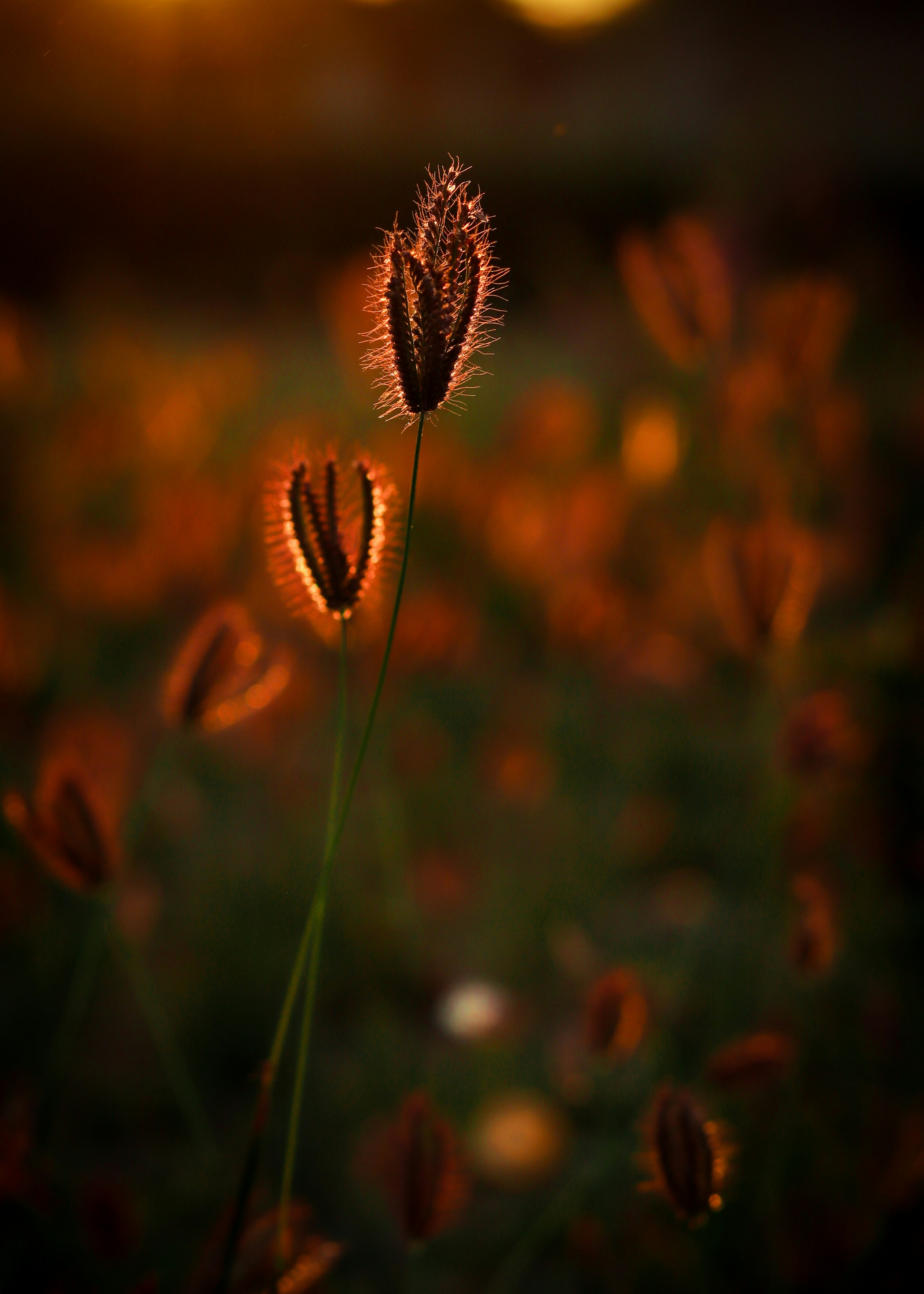 Photo by mehul_0208