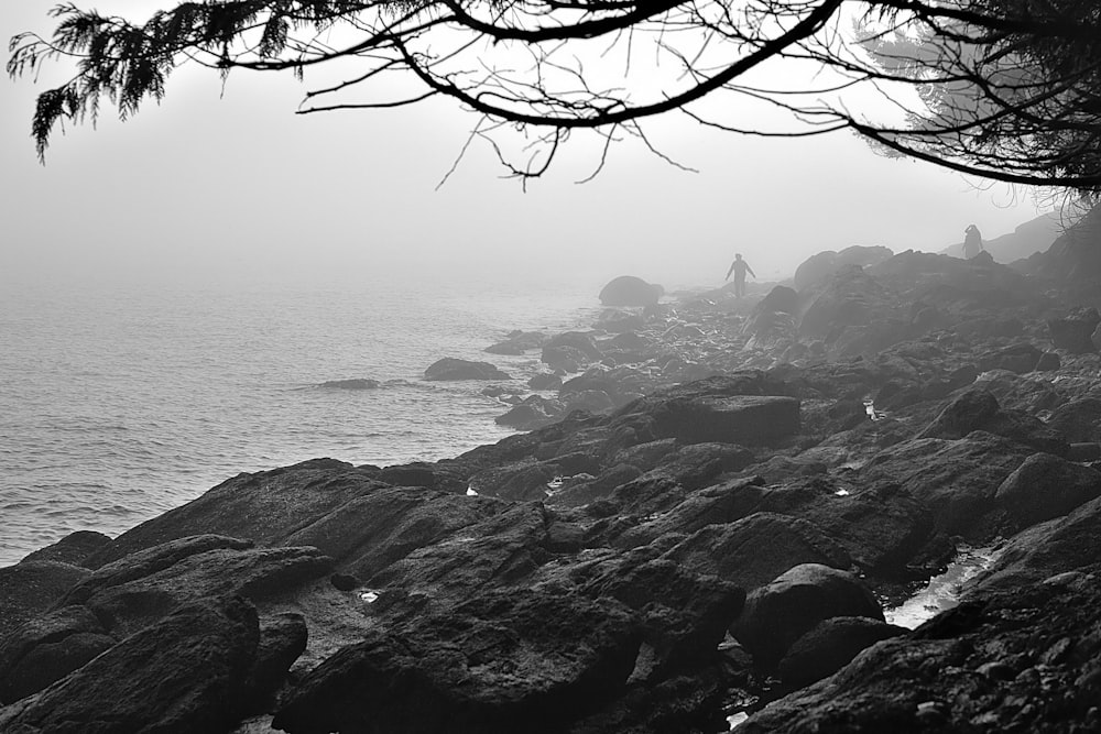 grayscale photo of bare tree near body of water