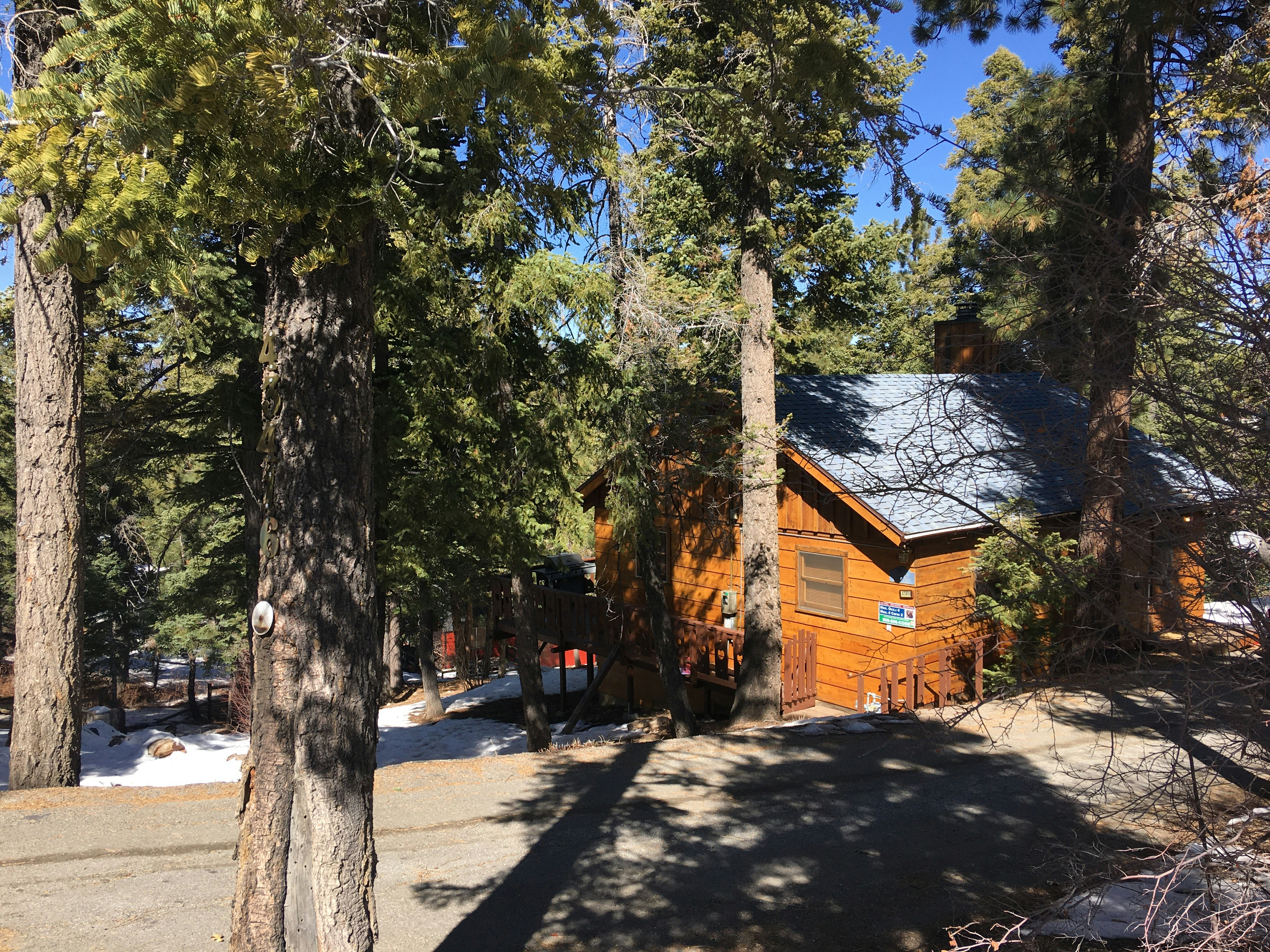 Photo by maiquynhtruong