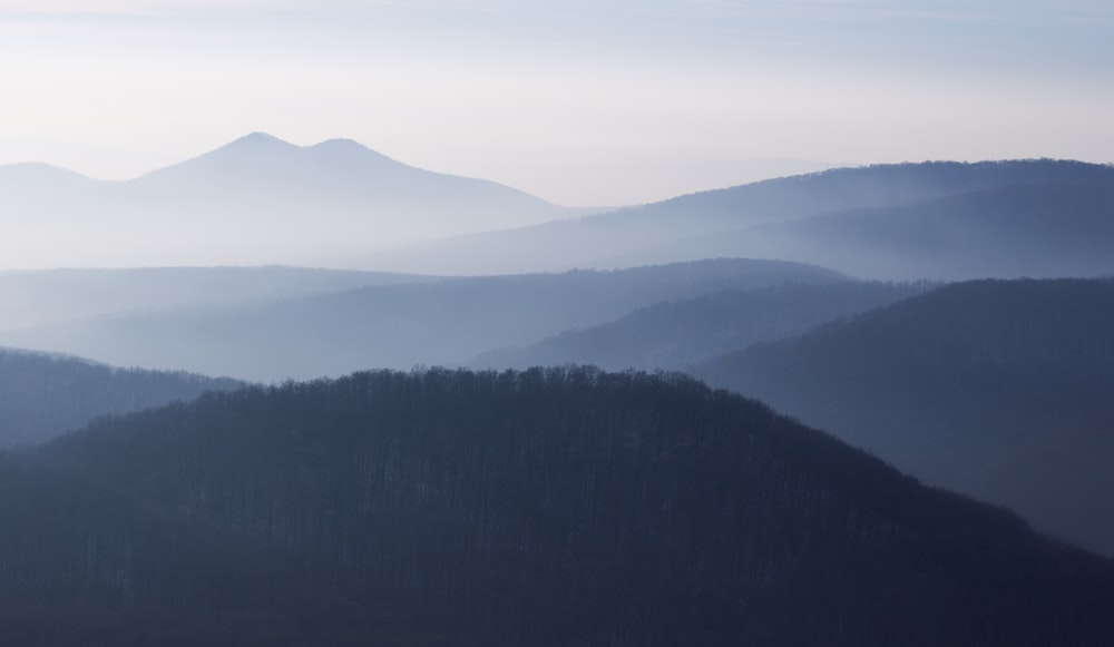 green trees on mountain during daytime