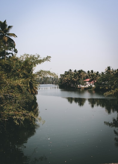 A serene river flanked by dense, green foliage and coconut trees under a clear blue sky. A small, white structure with a red roof is nestled among the trees on the riverbank.