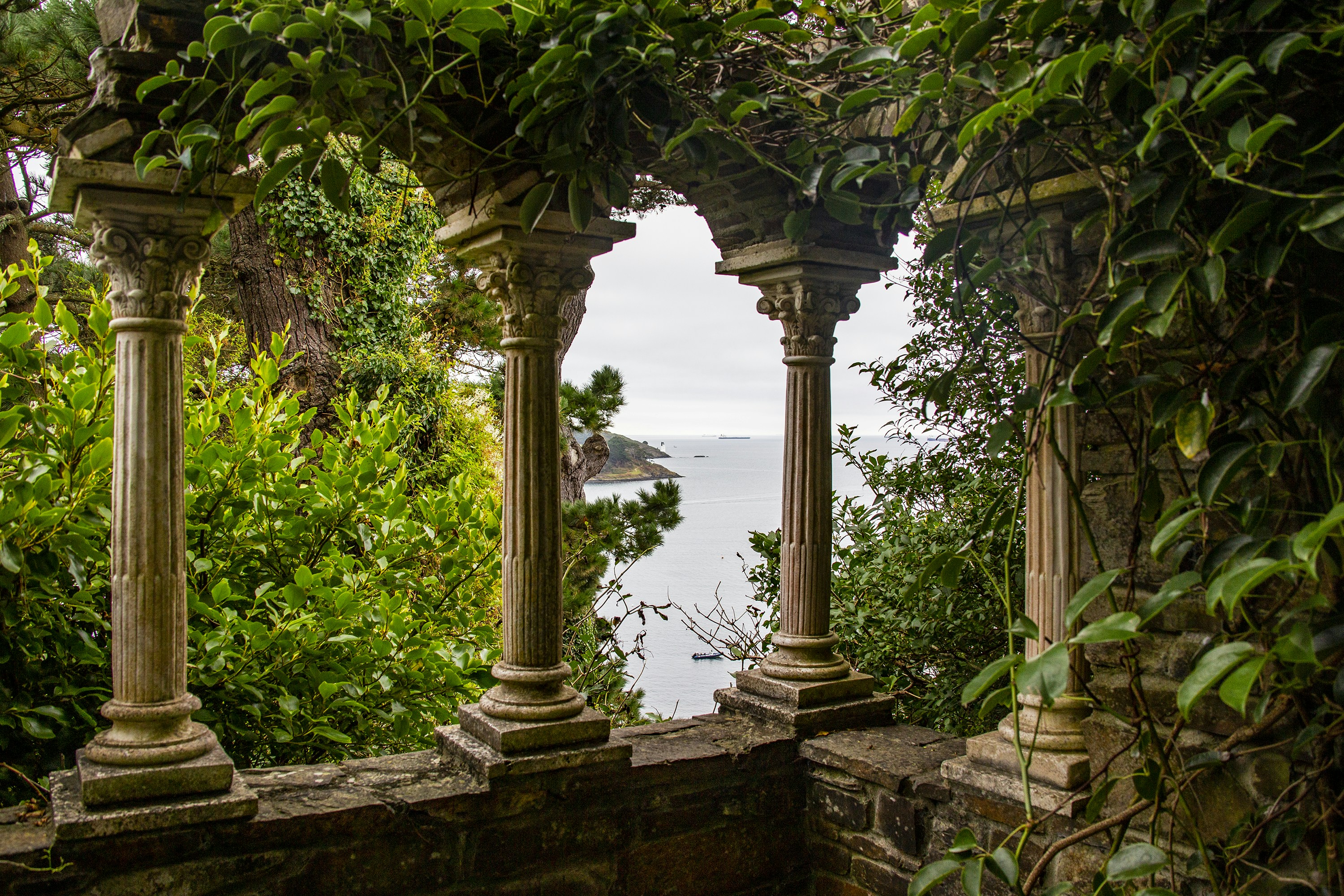 green trees near body of water during daytime