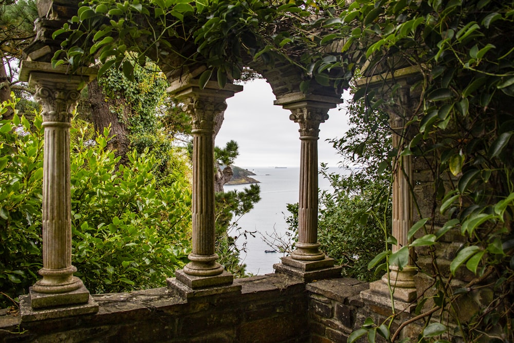 alberi verdi vicino allo specchio d'acqua durante il giorno