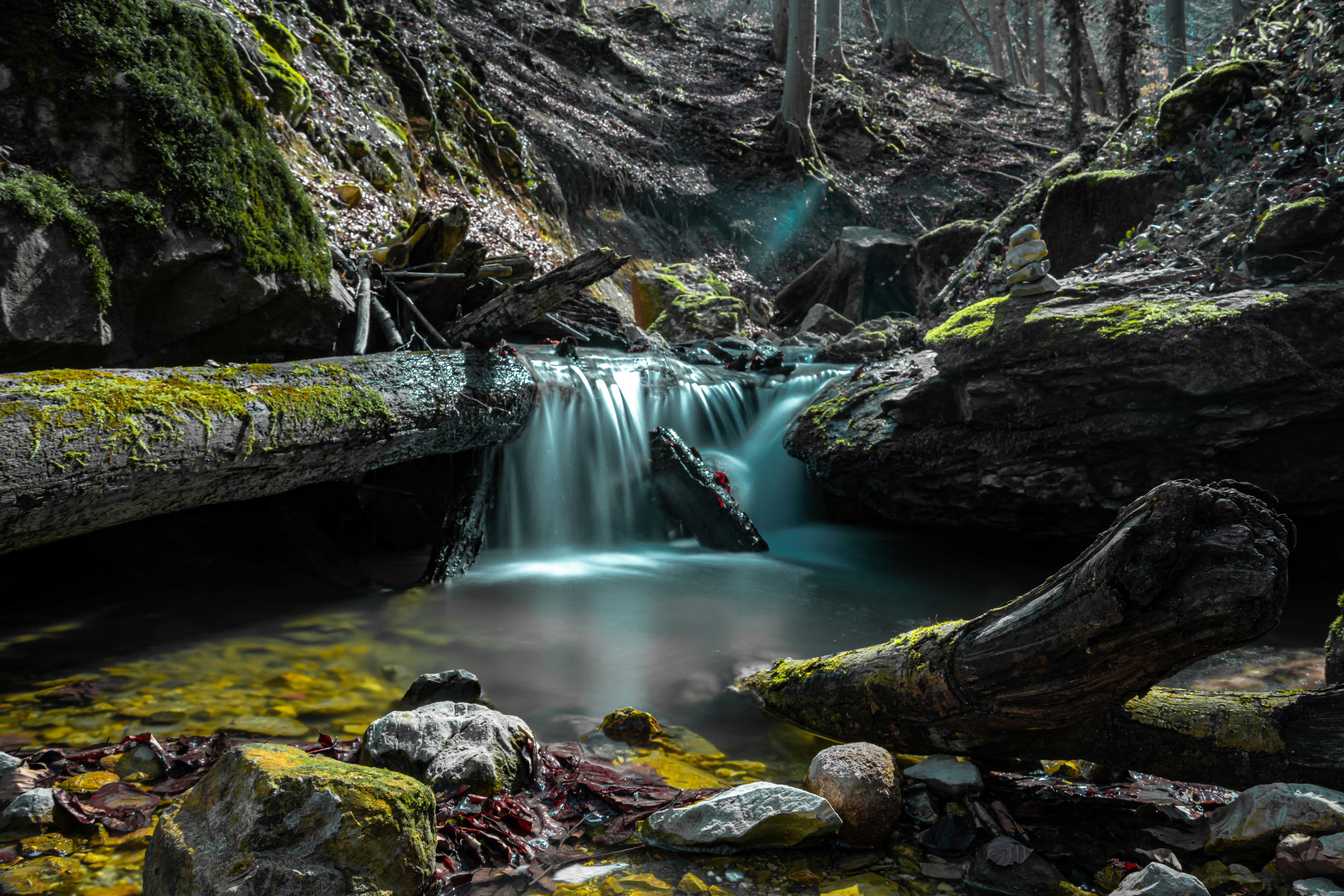 Photo by mathias_elle_photography