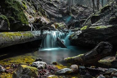 water falls in the middle of the forest