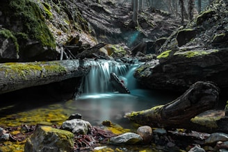 water falls in the middle of the forest