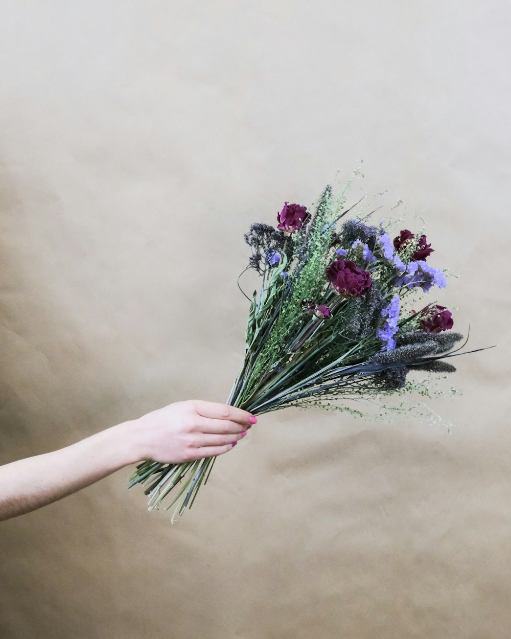 person holding purple and pink flowers