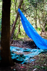 A compact emergency shelter made from tarps and branches in a forest setting.
