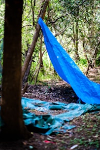 A lightweight tarp shelter set up in a forest, showcasing durability and flexibility.