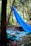 In a forest setting, a blue tarp is draped over some branches, creating a makeshift shelter. Surrounding the tarp, the ground is covered with dirt and scattered leaves, and dense greenery frames the scene.