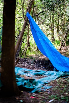 In a forest setting, a blue tarp is draped over some branches, creating a makeshift shelter. Surrounding the tarp, the ground is covered with dirt and scattered leaves, and dense greenery frames the scene.