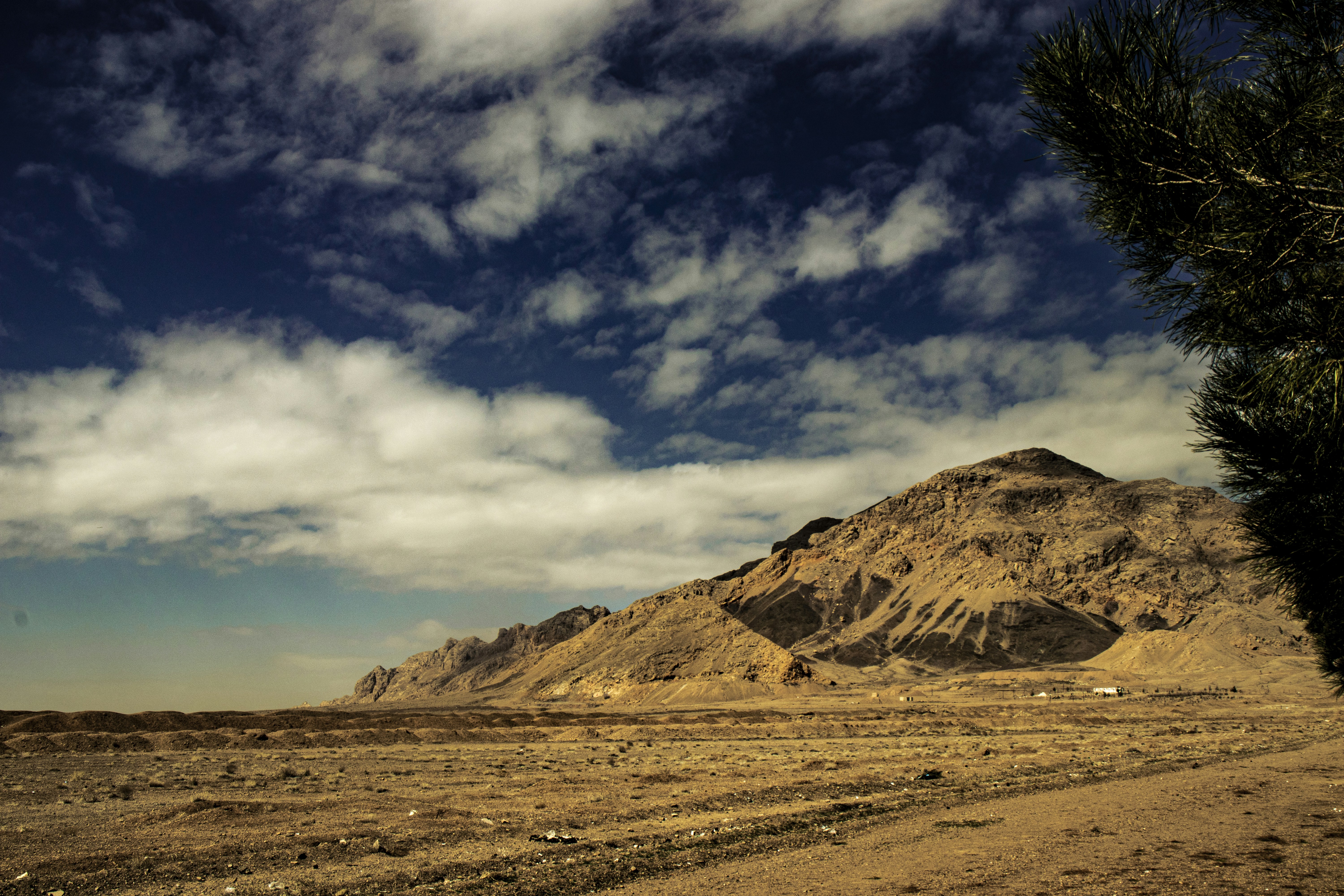 Photo by negarnasiri